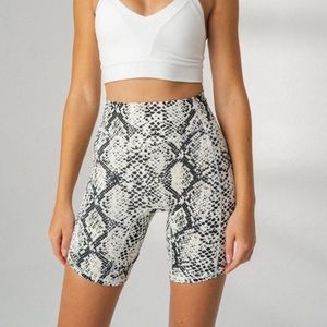 Kingdom Ascend Short